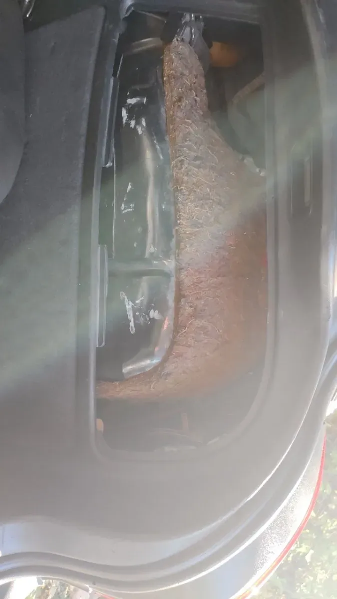 Audi A3 1998 photo 3