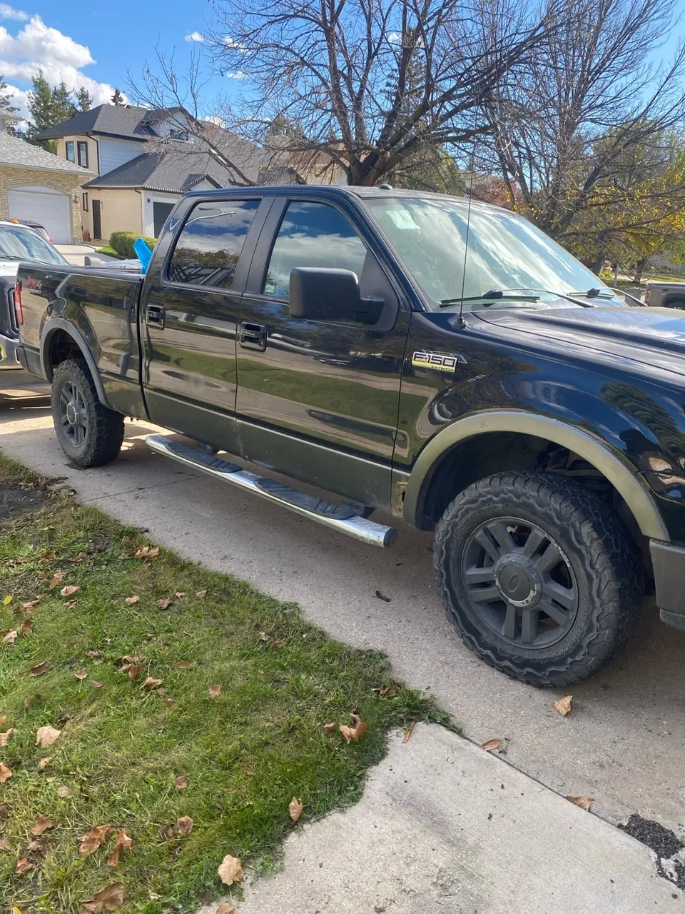 Ford F-150 2008 photo 2