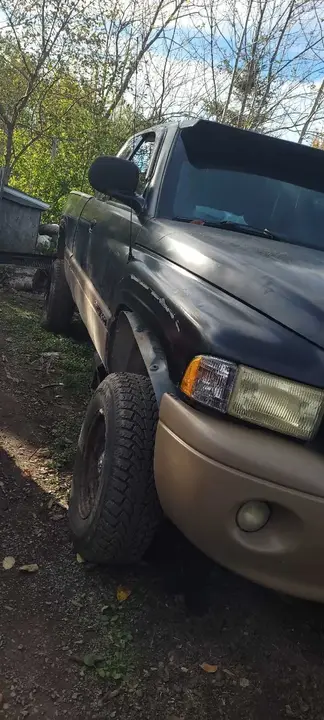 Dodge Ram 1500 2001 photo 4