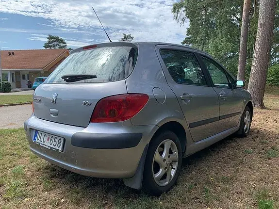 Peugeot 307 2004 photo 5