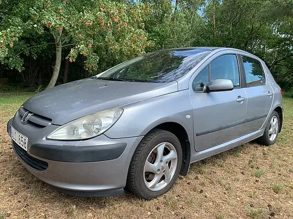 Peugeot 307 2004 photo 2
