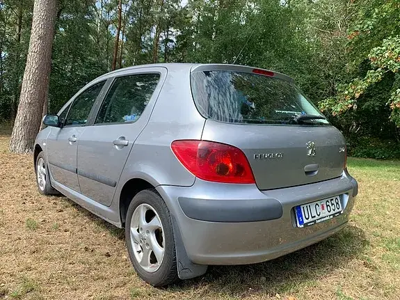 Peugeot 307 2004 photo 3
