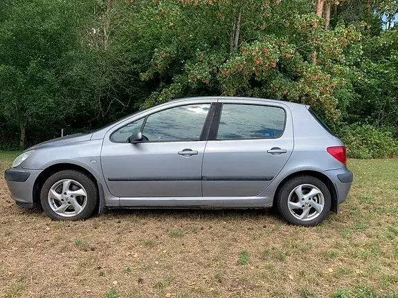 Peugeot 307 2004 photo 4