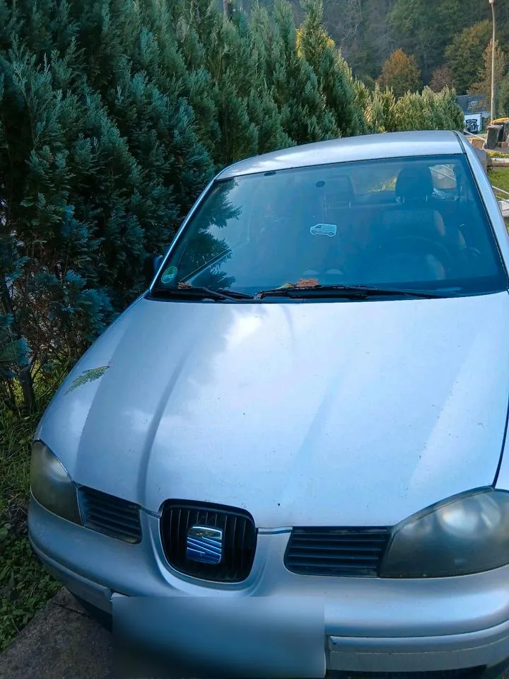 Seat Arosa