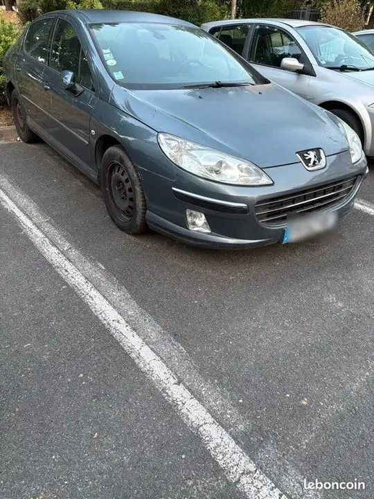 Peugeot 407 2006 photo 2