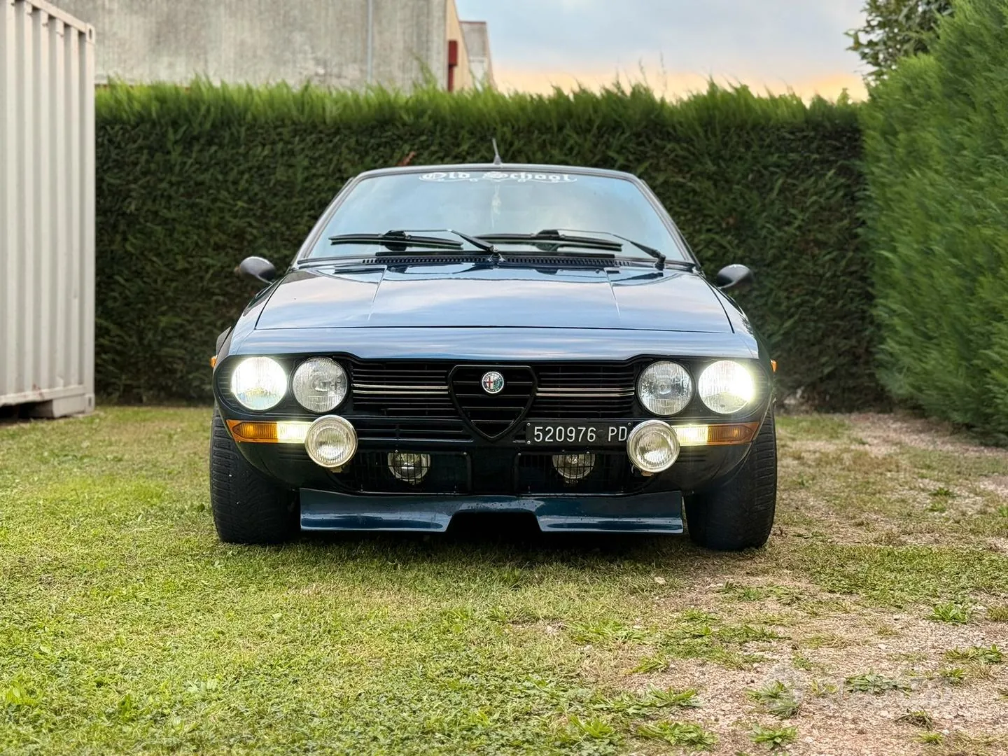 Alfa Romeo Alfetta