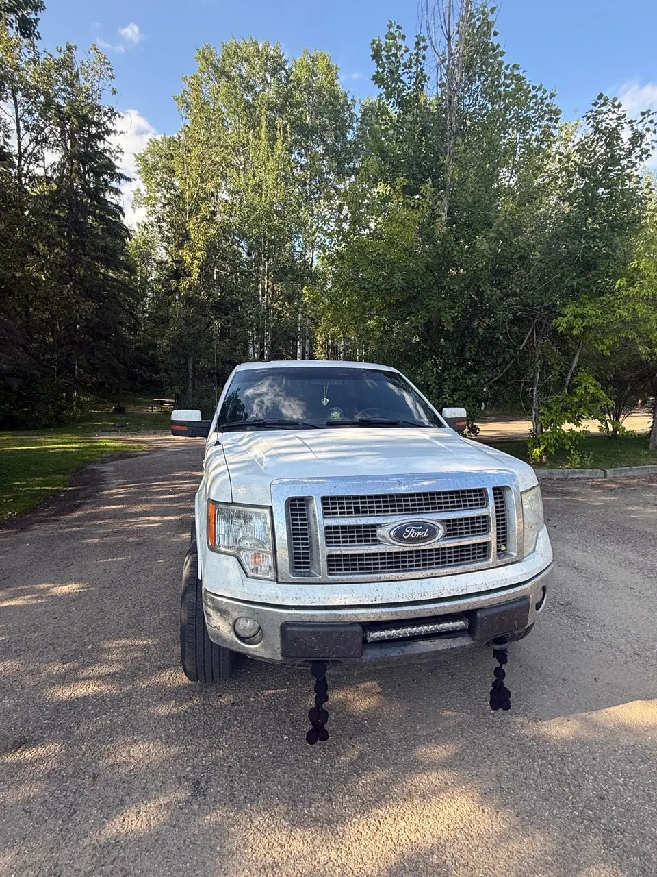 Ford F-150 2012 photo 2