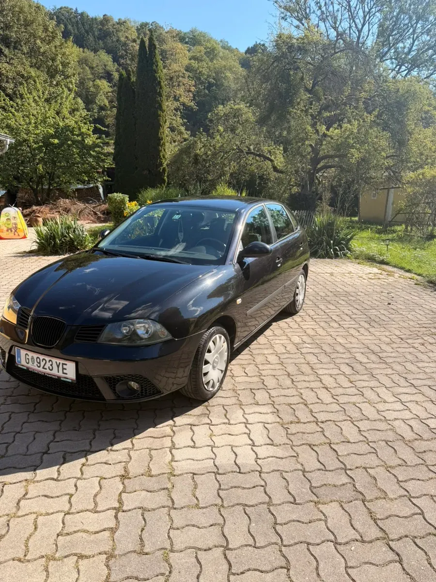 Seat Ibiza 2006 photo 2