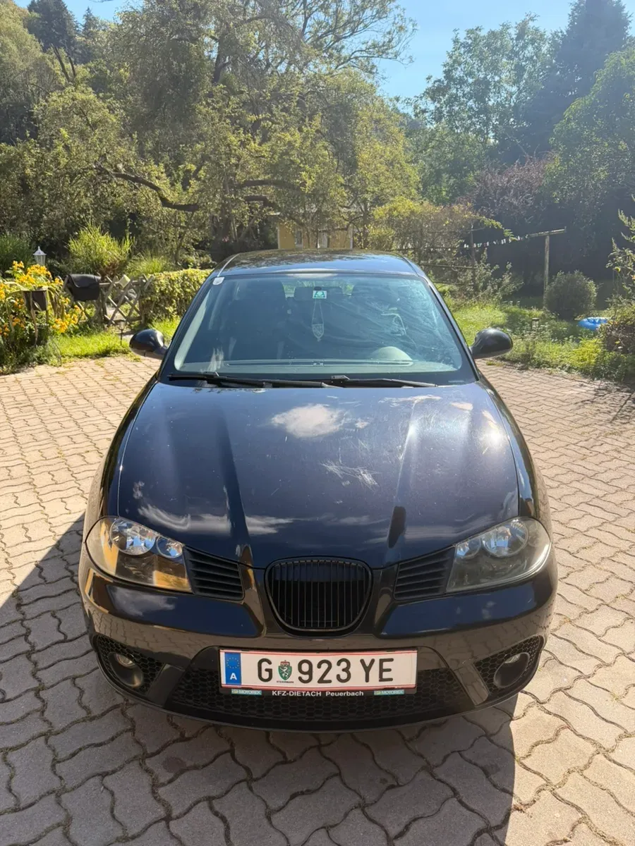 Seat Ibiza 2006 photo 3