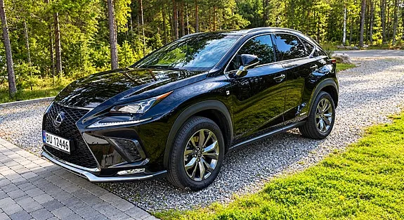 Lexus Nx300H 2019 photo 2
