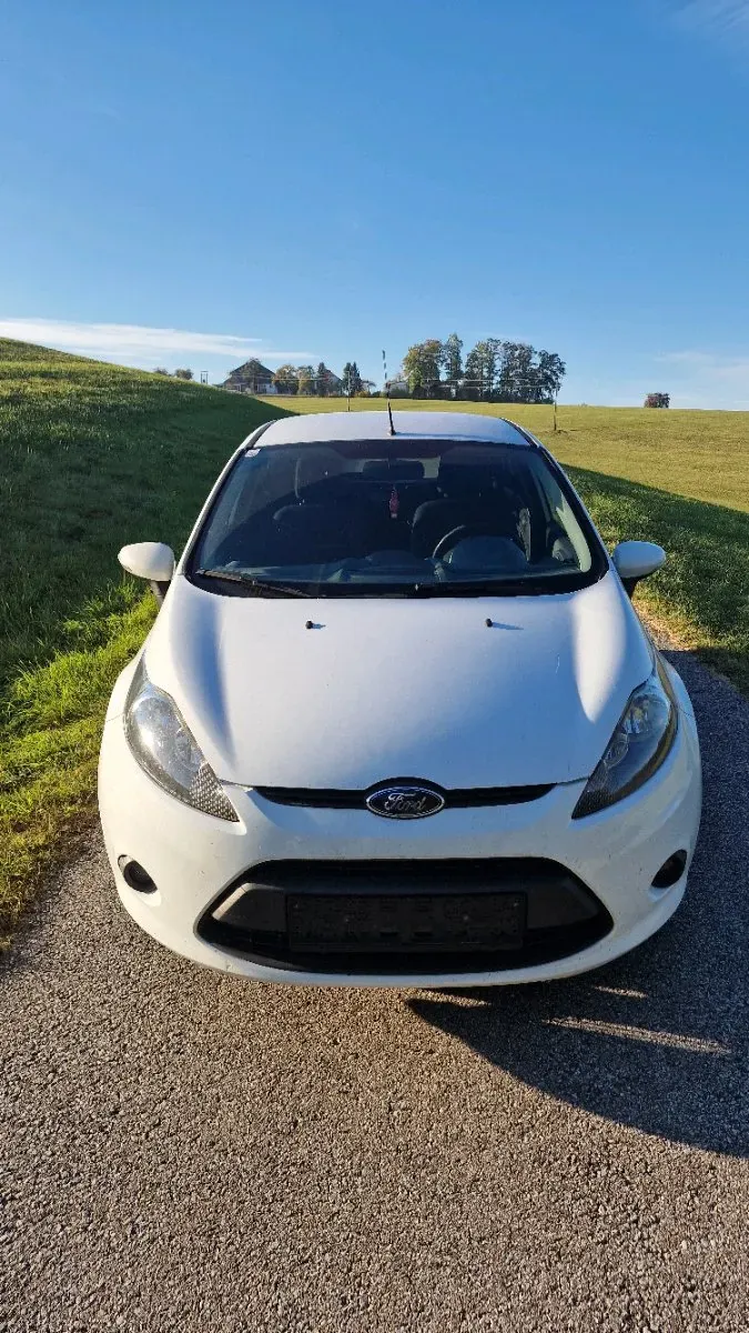 Ford Fiesta 2010 photo 2