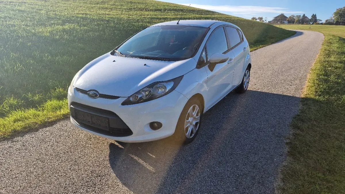 Ford Fiesta 2010 photo 3