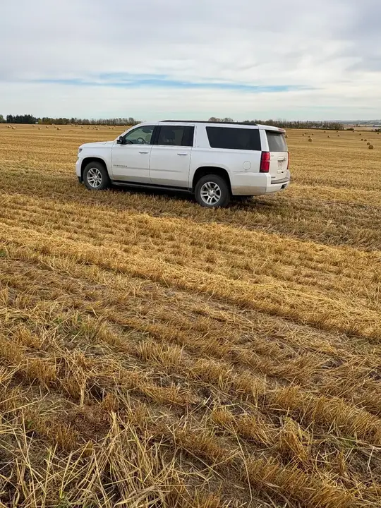 Chevrolet Suburban 2019 photo 2