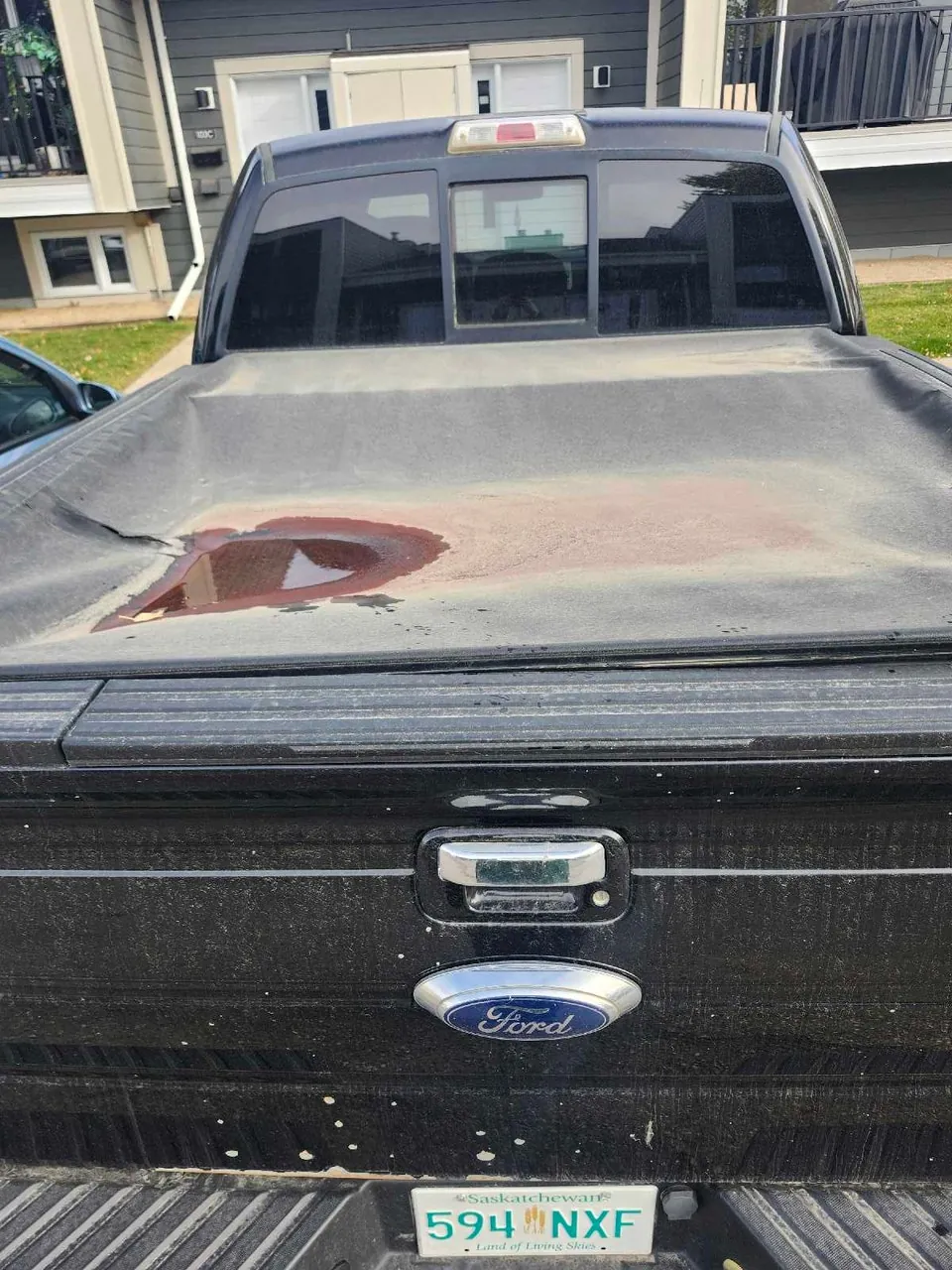 Ford F-150 2011 photo 2