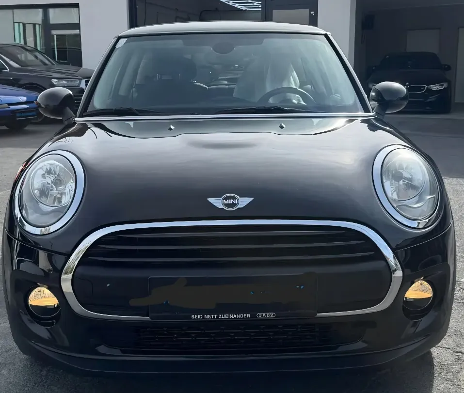 Mini Mini Hatch One