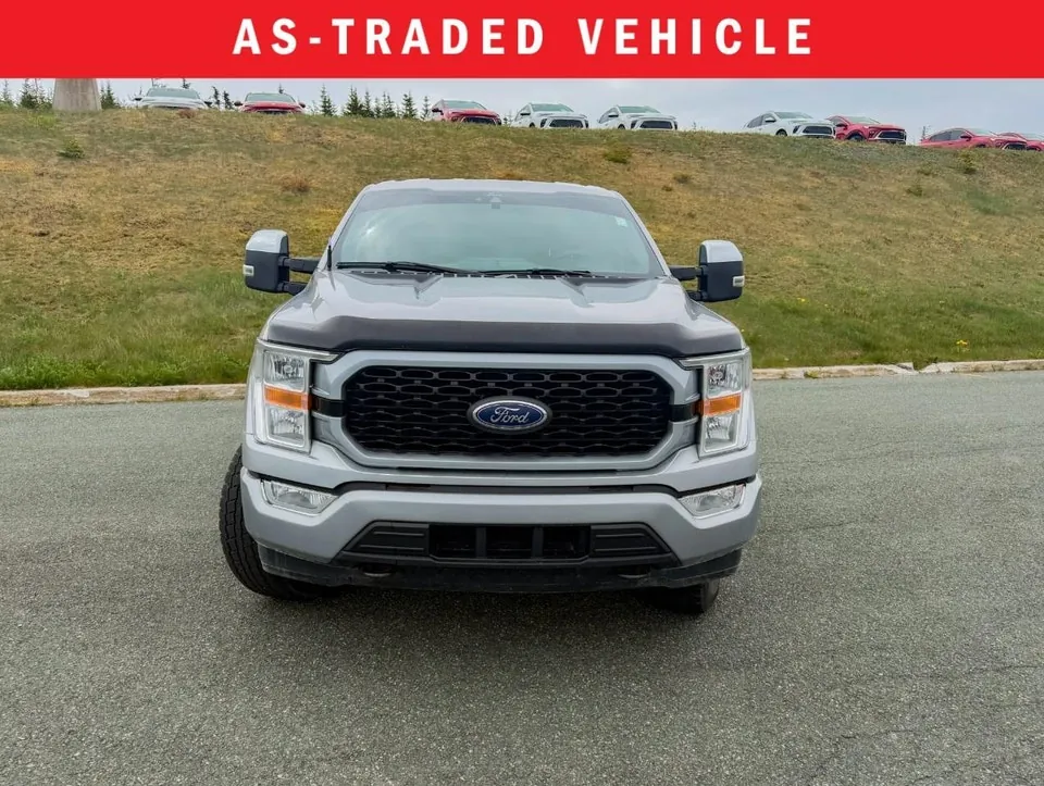 Ford F-150 2021 photo 3