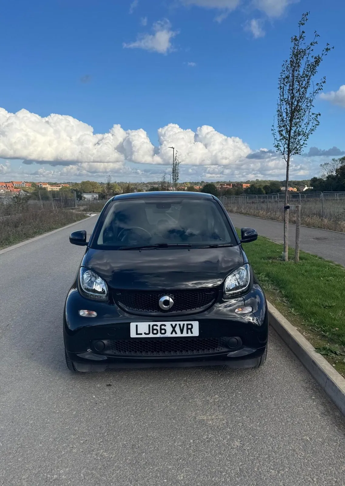 Smart Fortwo 2016 photo 5