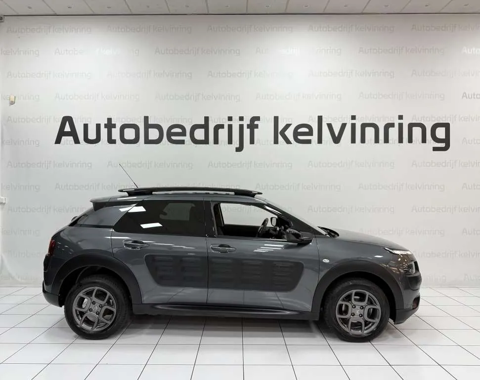Citroen C4 Cactus 2015 photo 5