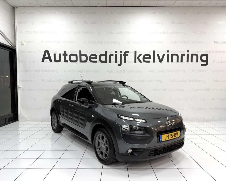 Citroen C4 Cactus 2015 photo 3
