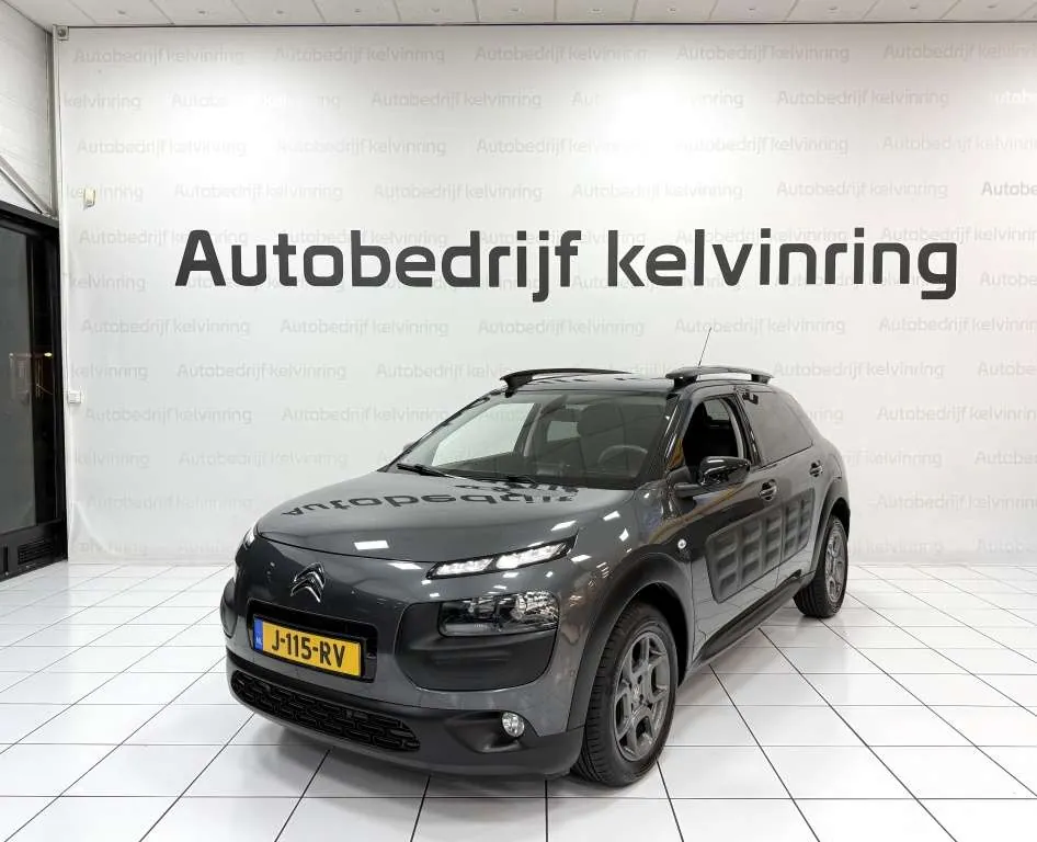 Citroen C4 Cactus 2015 photo 2