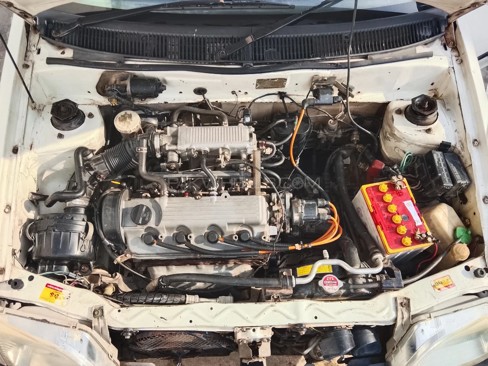 Suzuki Cultus