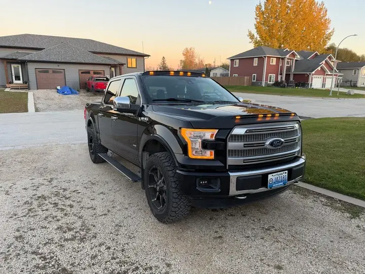 Ford F-150 2016 photo 4