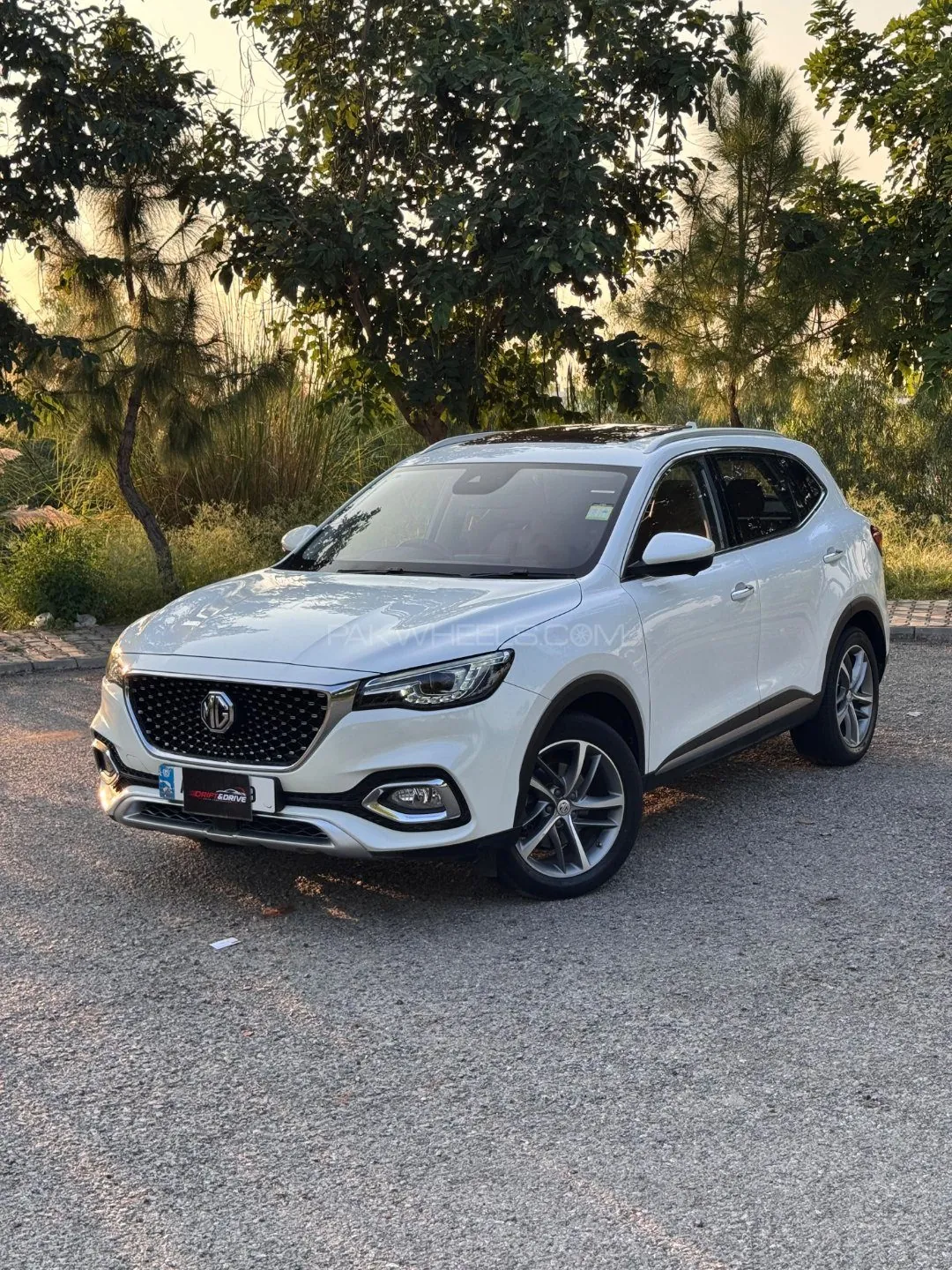 MG Hs