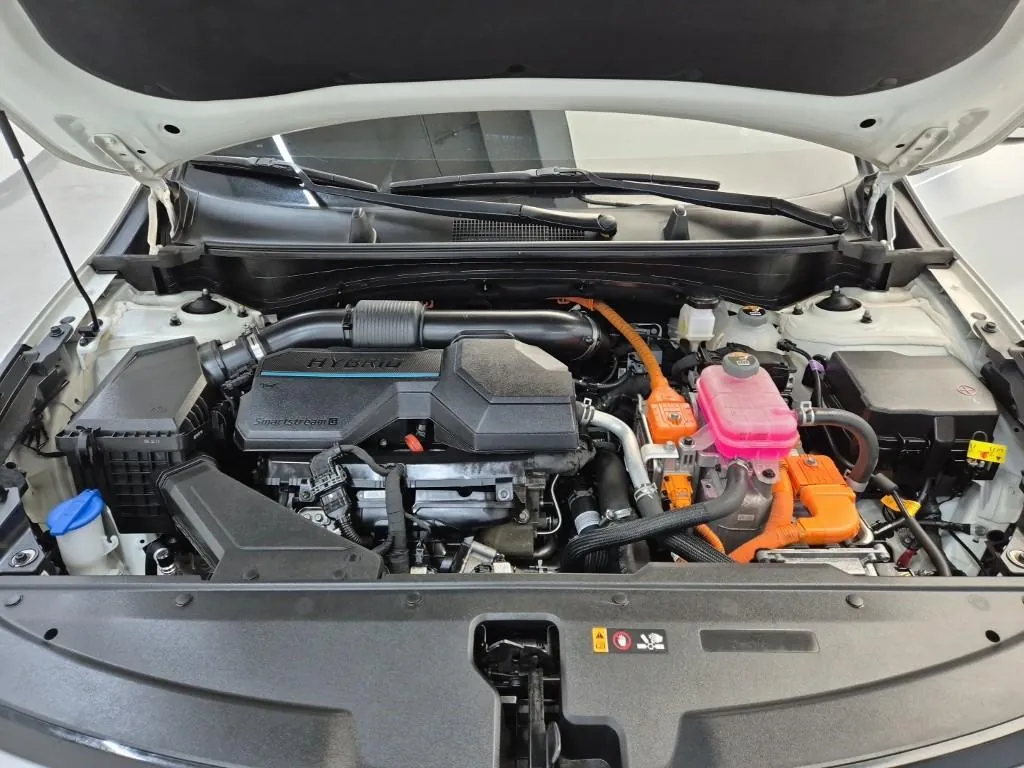 Kia Sportage 2024 photo 5