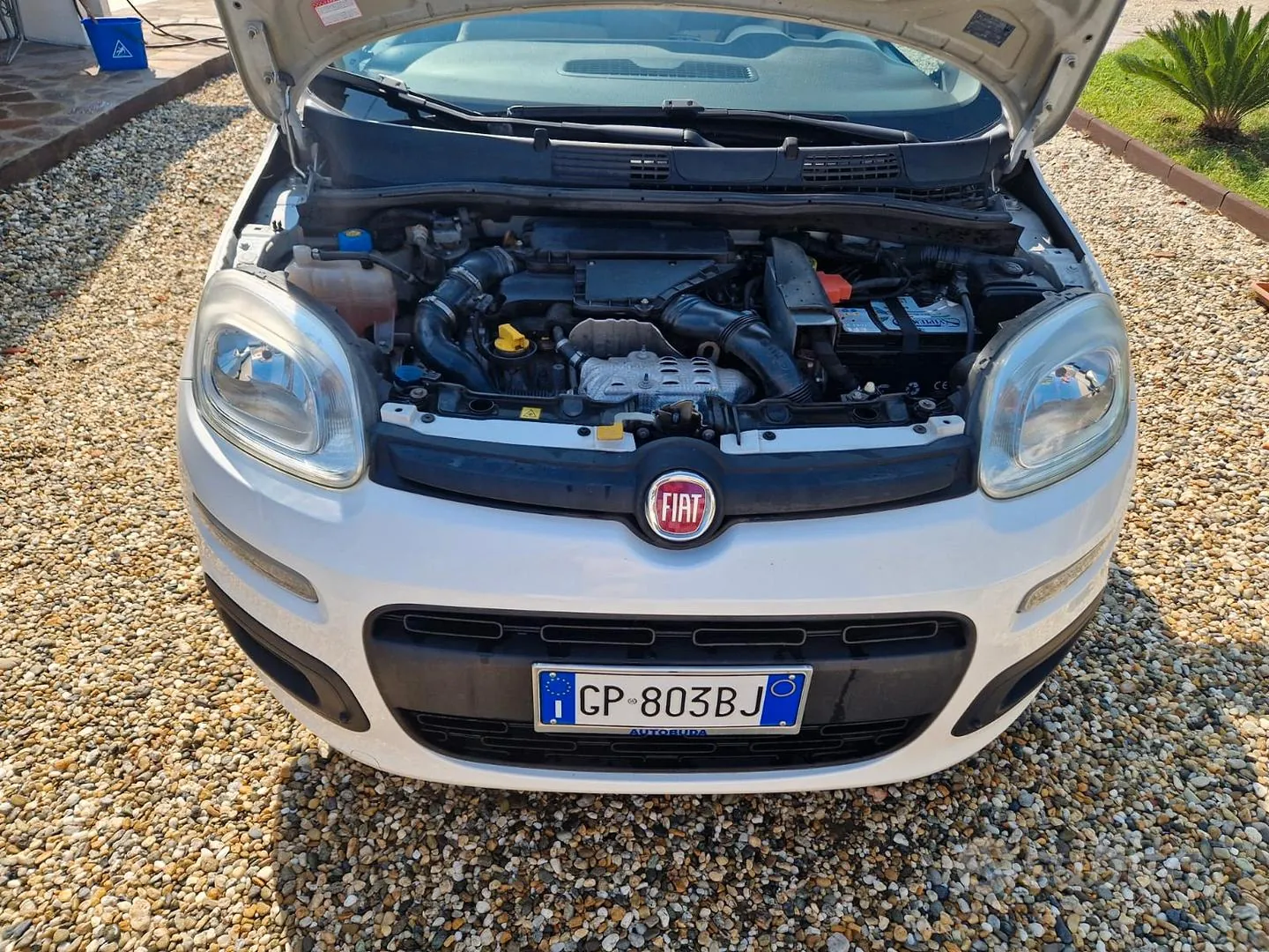 Fiat Panda 2016 photo 4