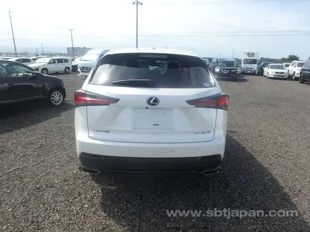 Lexus Nx 2019 photo 5
