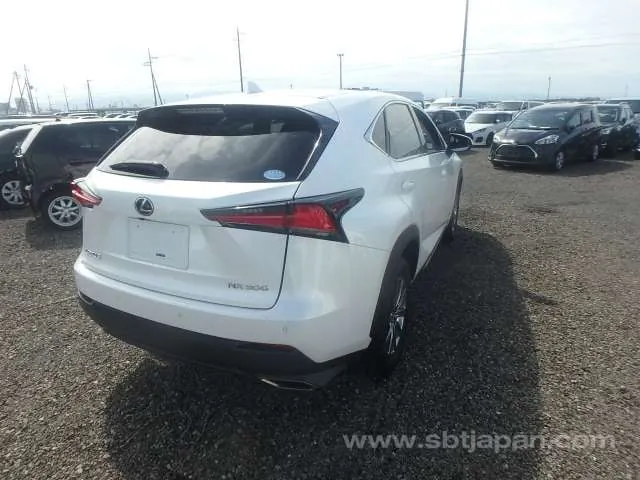 Lexus Nx 2019 photo 4