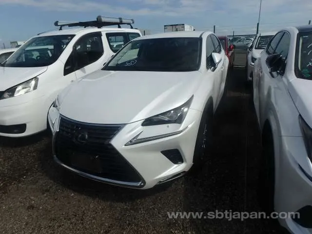 Lexus Nx 2019 photo 2