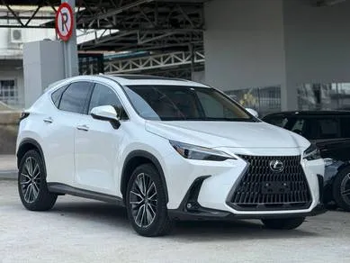Lexus Nx 250