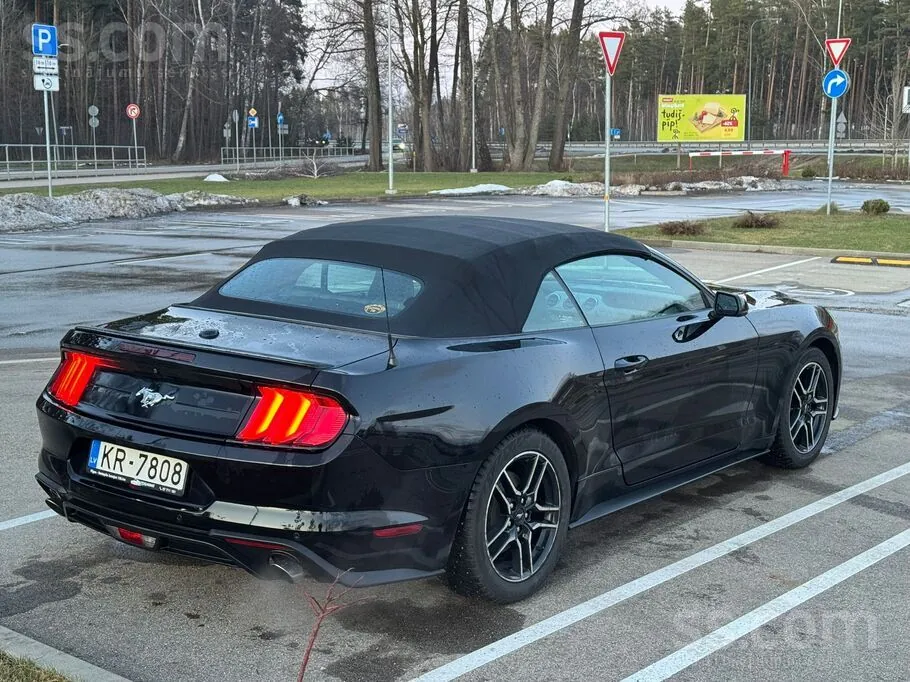 Ford Mustang 2019 photo 2