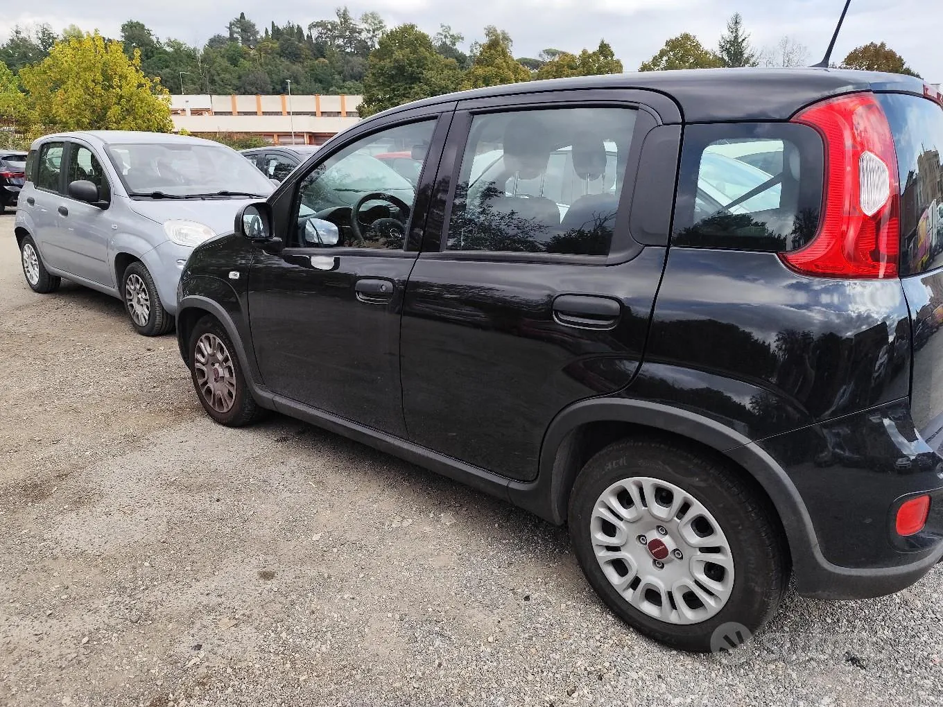 Fiat Panda 2024 photo 2