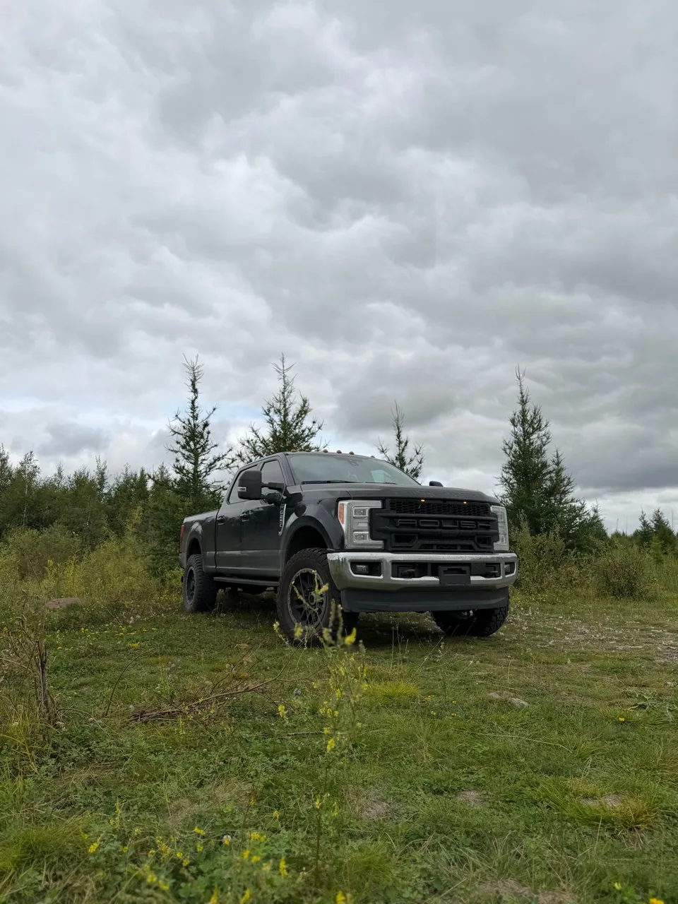 Ford F250