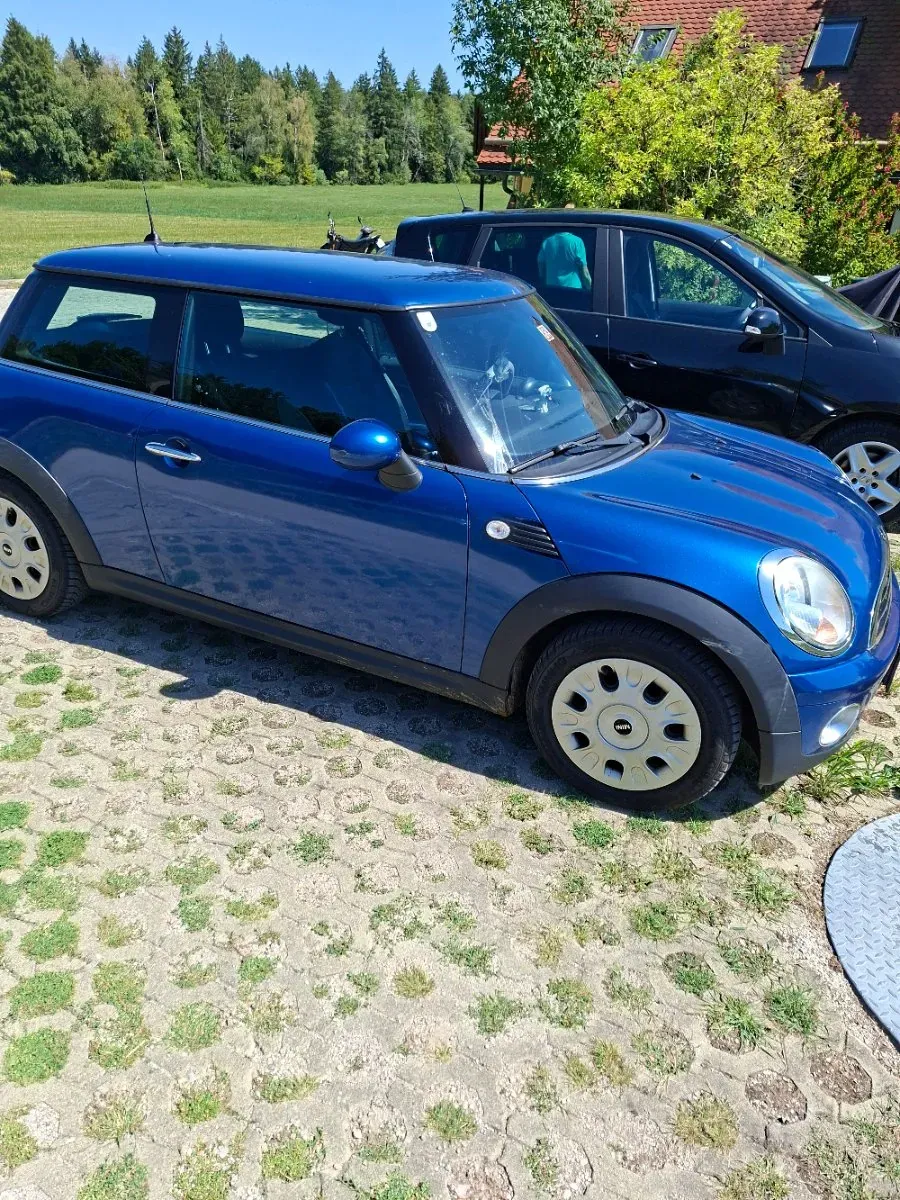 Mini Mini