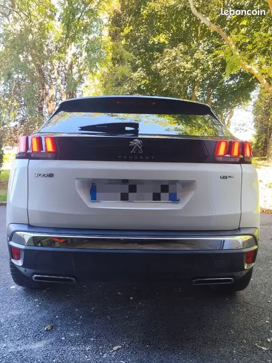 Peugeot 3008 2019 photo 4