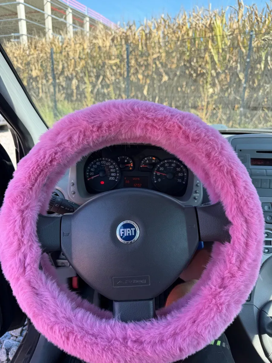 Fiat Panda 2003 photo 3