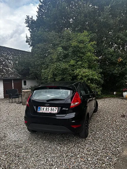 Ford Fiesta 2010 photo 2