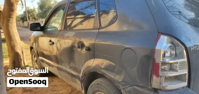 Hyundai Tucson 2008 photo 4