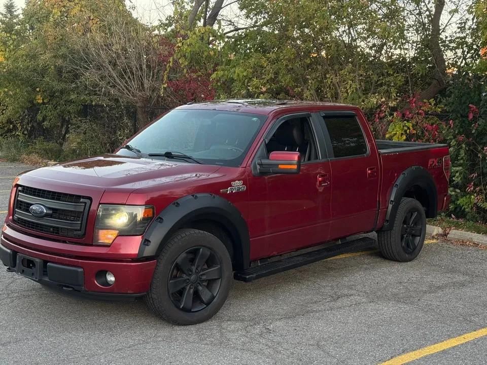 Ford F-150 2014 photo 3