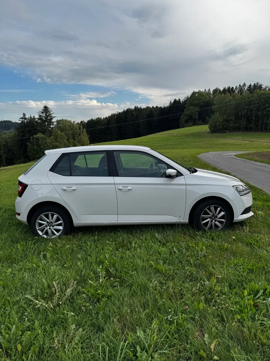 Skoda Fabia 2019 photo 3