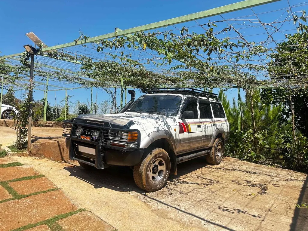 Toyota Land Cruiser 80 1991 photo 3