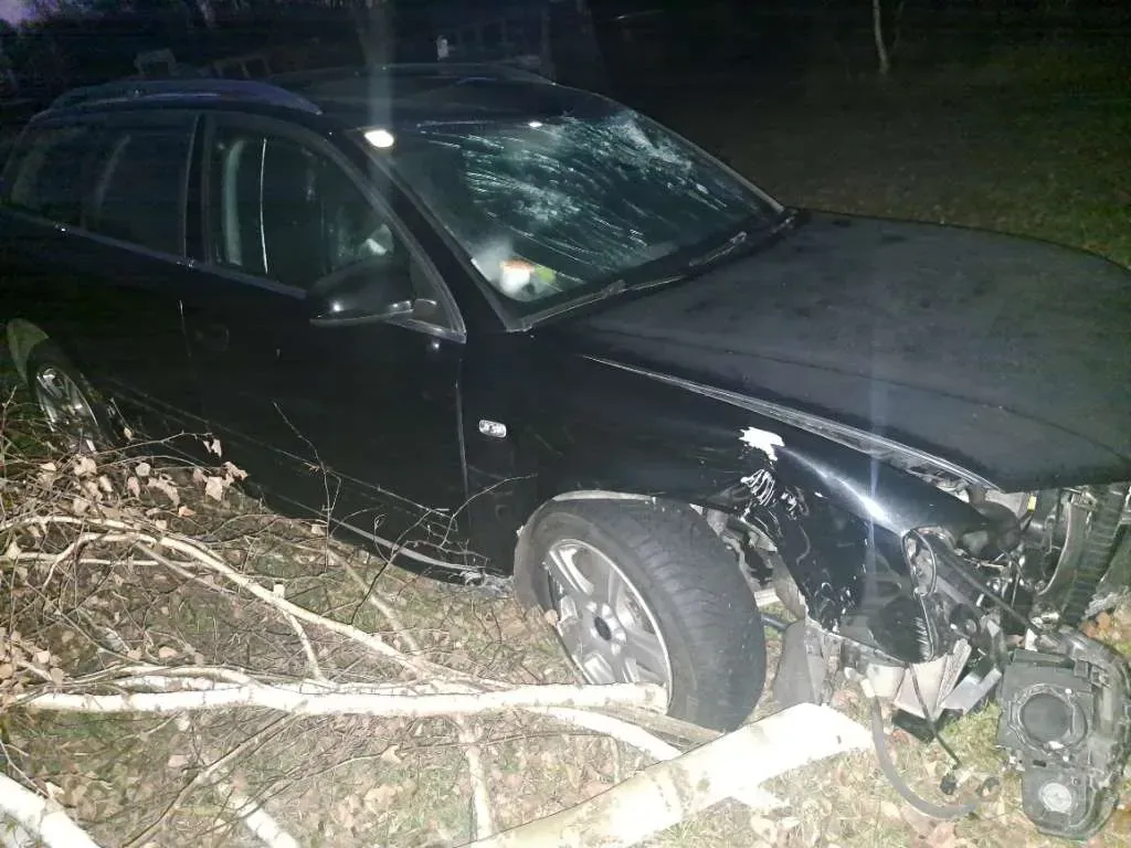 Audi A4 2005 photo 3