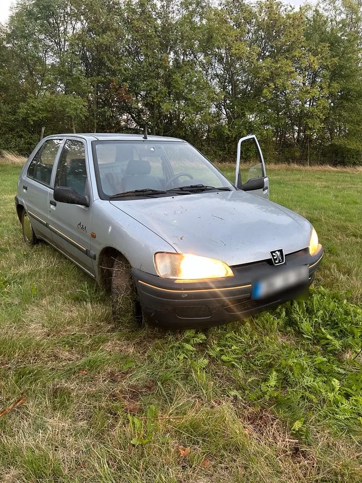 Peugeot 106