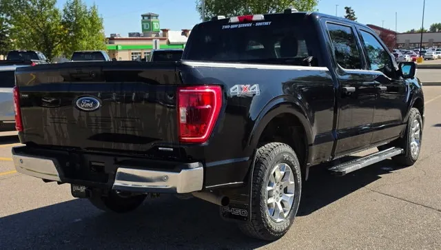 Ford F-150 2021 photo 5