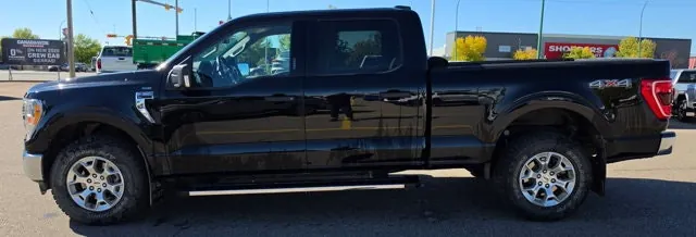 Ford F-150 2021 photo 2