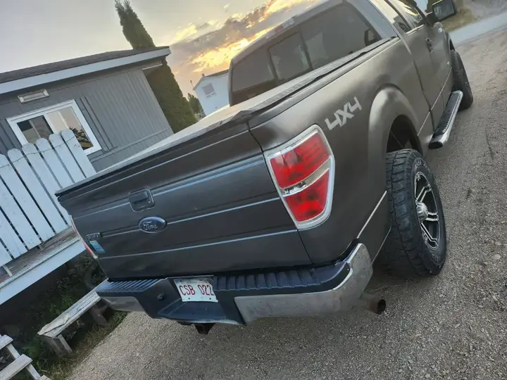 Ford F-150 2014 photo 3