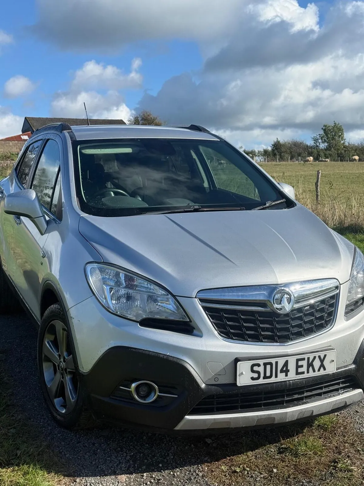 Vauxhall Mokka 2014 photo 2